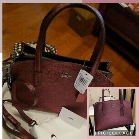 coach carryall 28